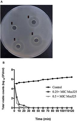 Protective Ability of Biogenic Antimicrobial Peptide Microcin J25 Against Enterotoxigenic Escherichia Coli-Induced Intestinal Epithelial Dysfunction and Inflammatory Responses IPEC-J2 Cells